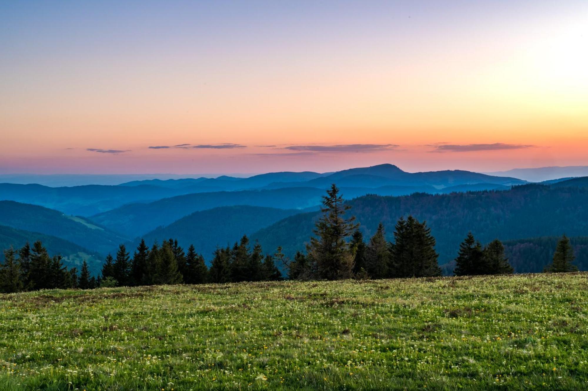 דירות Rinken Residenz Grafenmatt "Abendsonne", Feldberg מראה חיצוני תמונה
